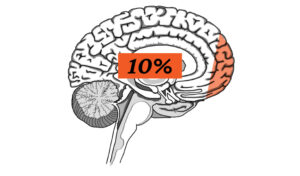 usamos el 10% del cerebro