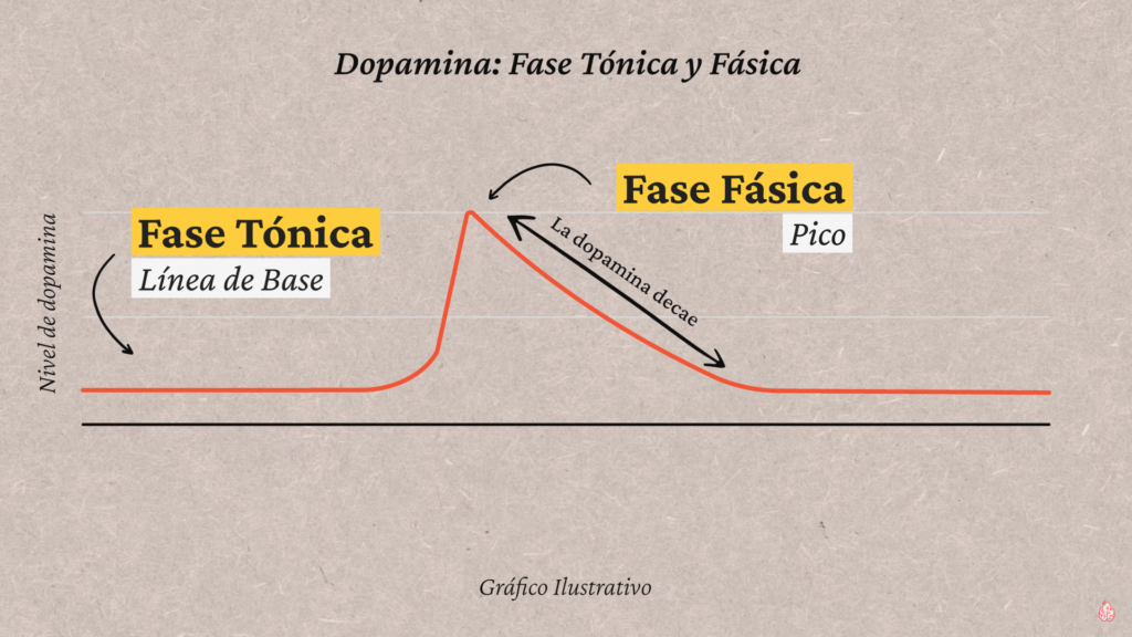 dopamina: fase tónica y fásica