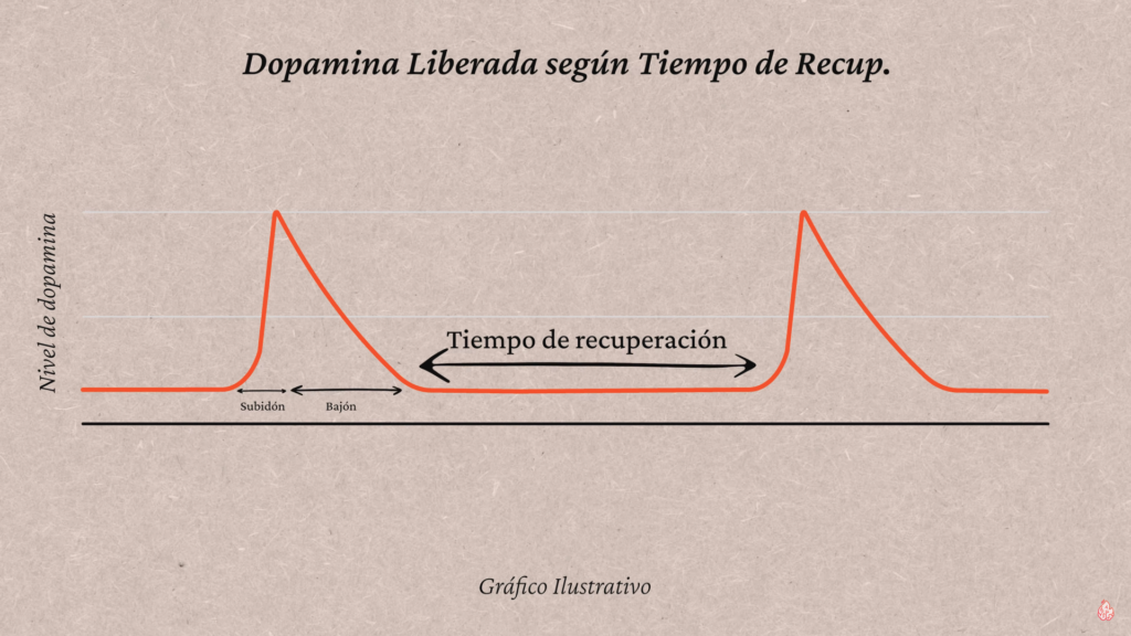 Dopamina liberada según el tiempo de recuperación entre cada evento