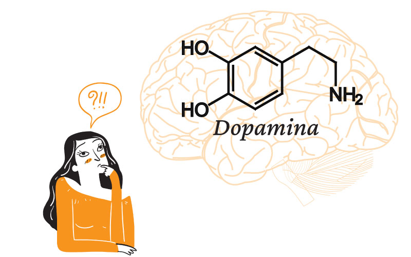 como funciona la dopamina en el cerebro