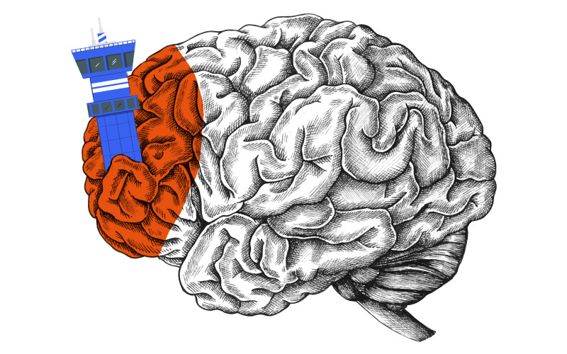 corteza prefrontal